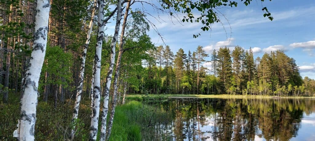 Mustalampi. Kuva: Harri Hölttä