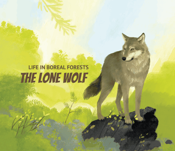 box top final box top final