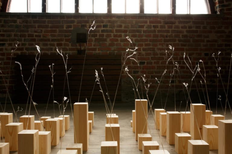 Talventörröttäjät. Kuva: Jyri Keronen