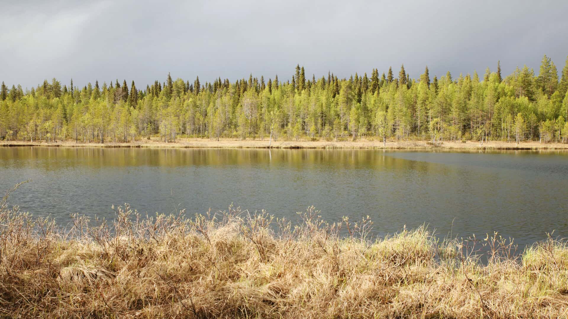 Jokiaho. Kuva: Ari-Pekka Auvinen