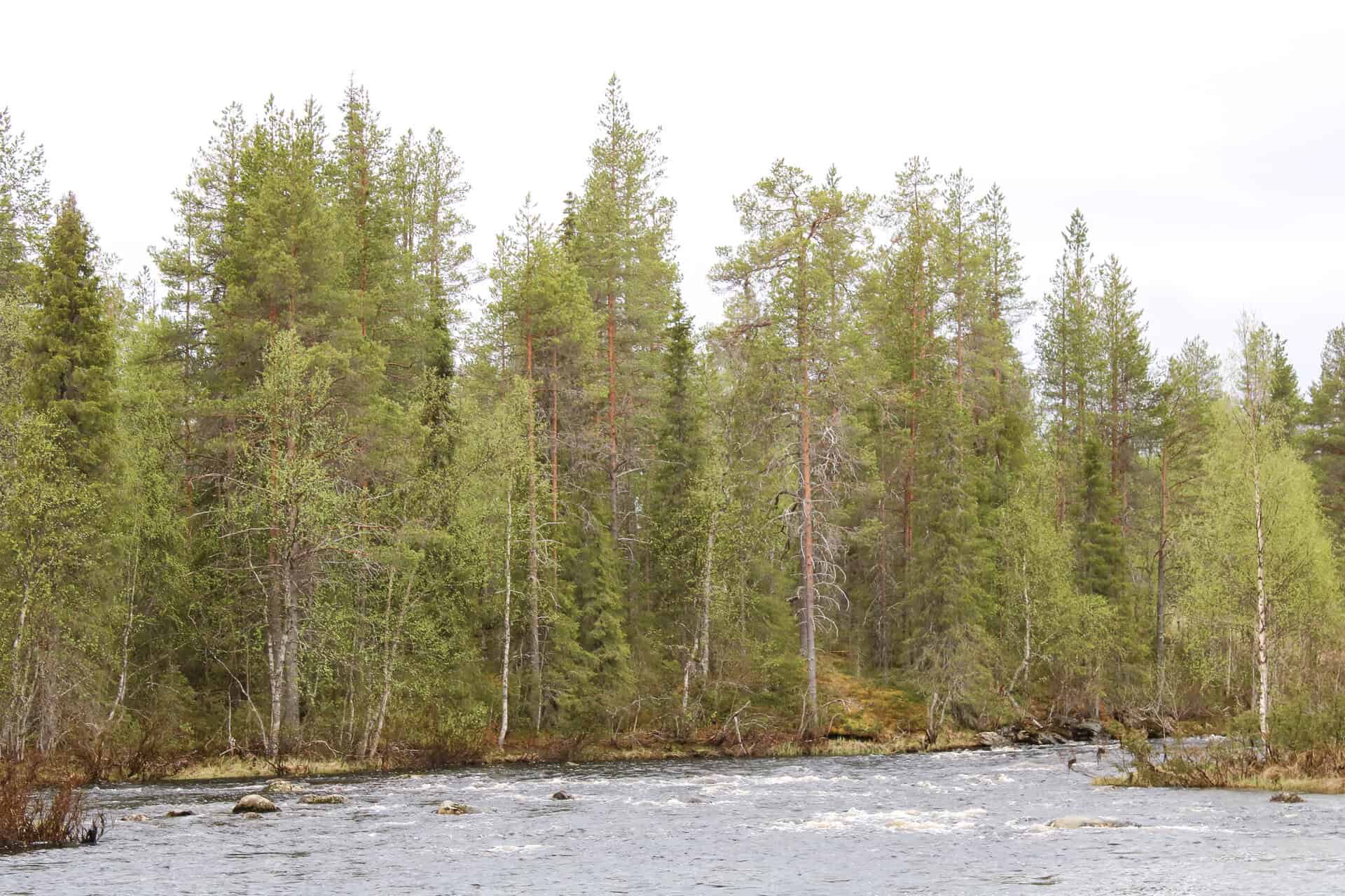 Jokiaho. Kuva: Petri Haapala