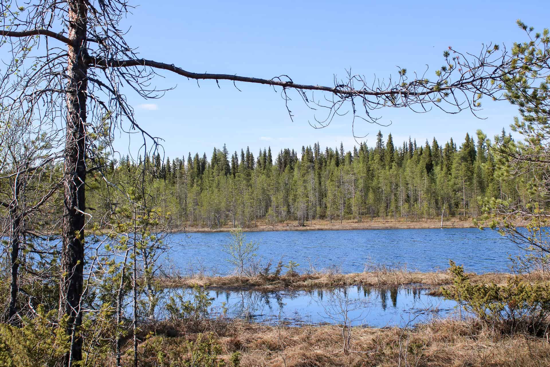 Jokiaho. Kuva: Petri Haapala