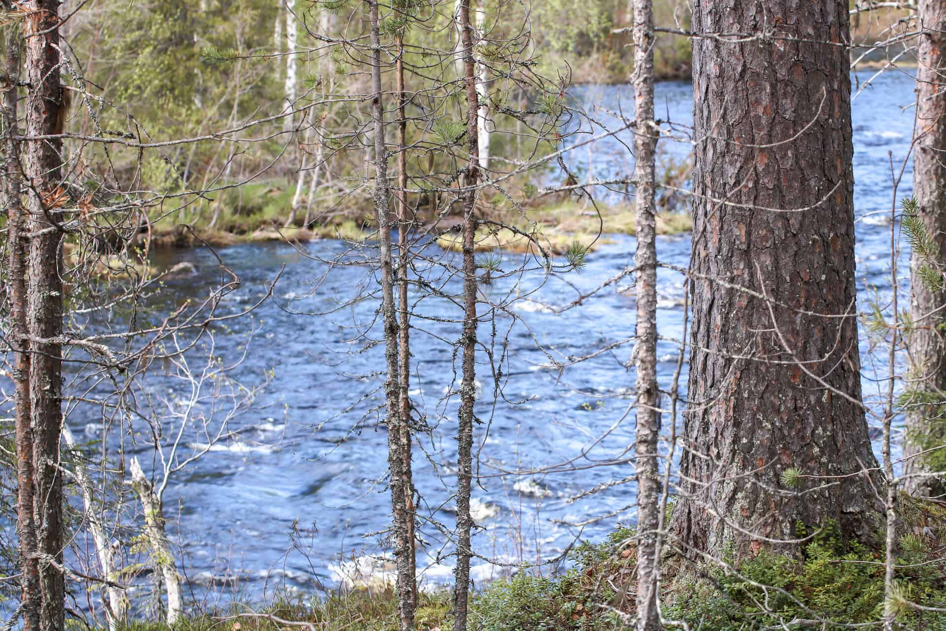 Jokiaho. Kuva: Petri Haapala