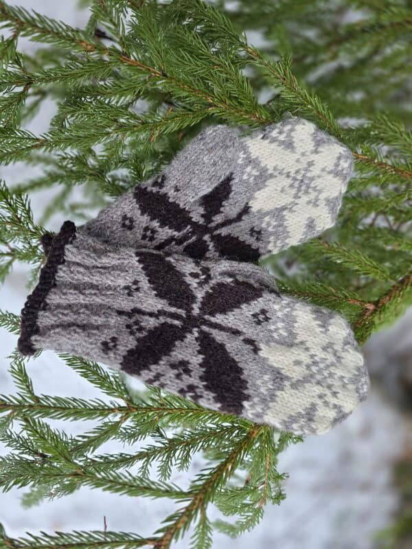 Metsätähti lapanen Merja Palin 2 Metsätähti lapanen Merja Palin 2