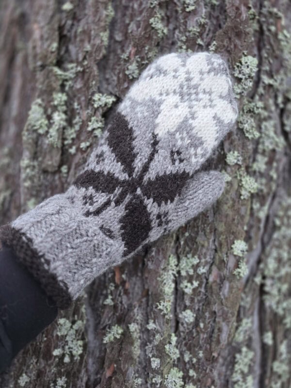 Metsätähti lapanen Merja Palin