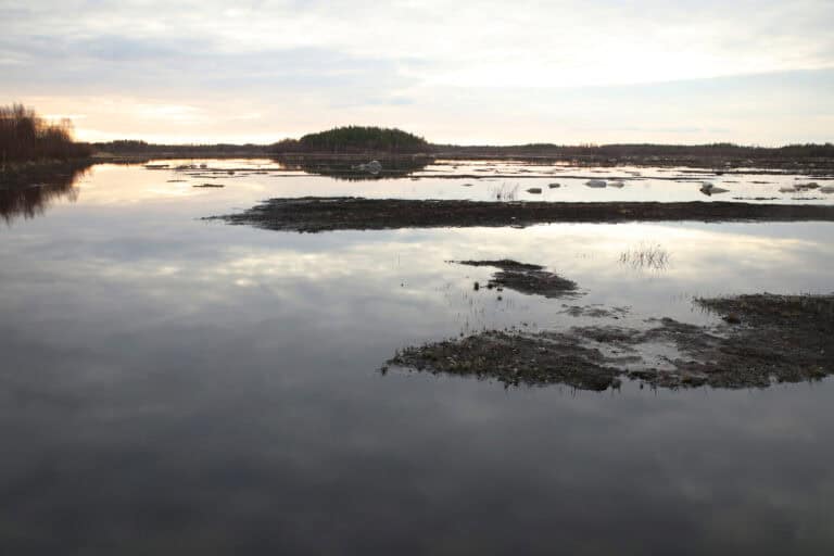 Kanasuo-Kivisuo. Kuva: Ari-Pekka Auvinen