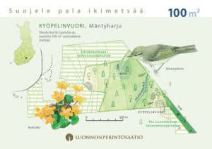 Kyöpelinvuori-lahjakortti (sähköinen)