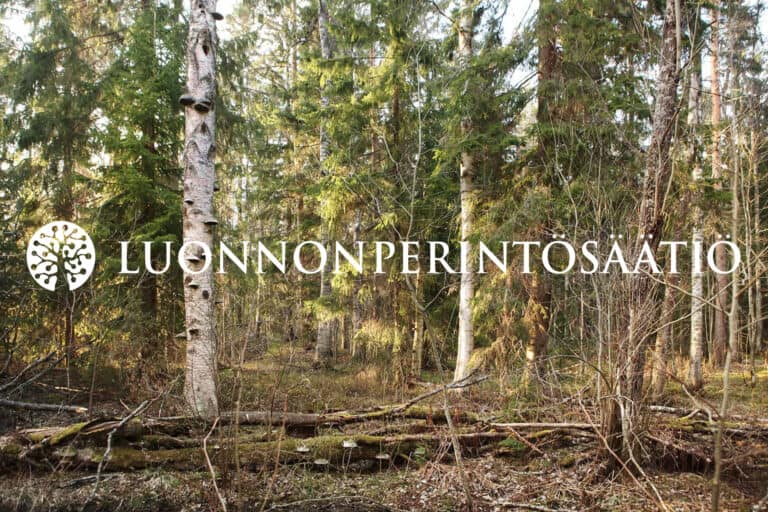 Luonnonperintösäätiö hakee Talous- ja hallintoassistenttia