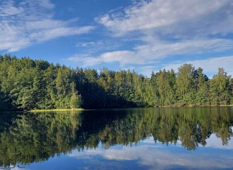 Likolamminharju. Kuva: Harri Hölttä