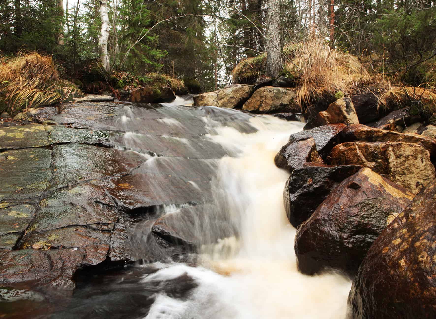 Syväjoensalo. Kuva: Ari-Pekka Auvinen