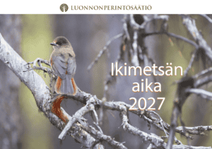 Ikimetsän aika 2027 -kalenteri