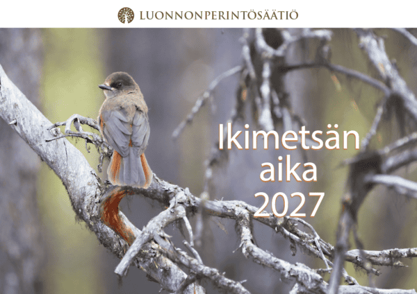 Ikimetsän aika 2027 -kalenteri