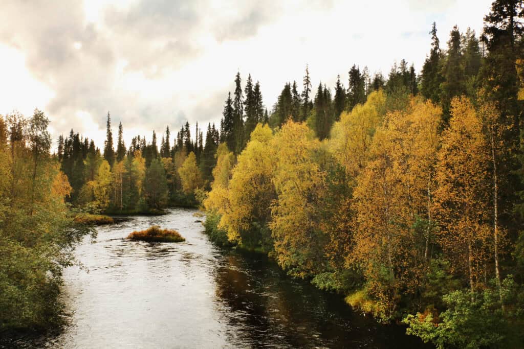 Luolakallio. Kuva: Ari-Pekka Auvinen
