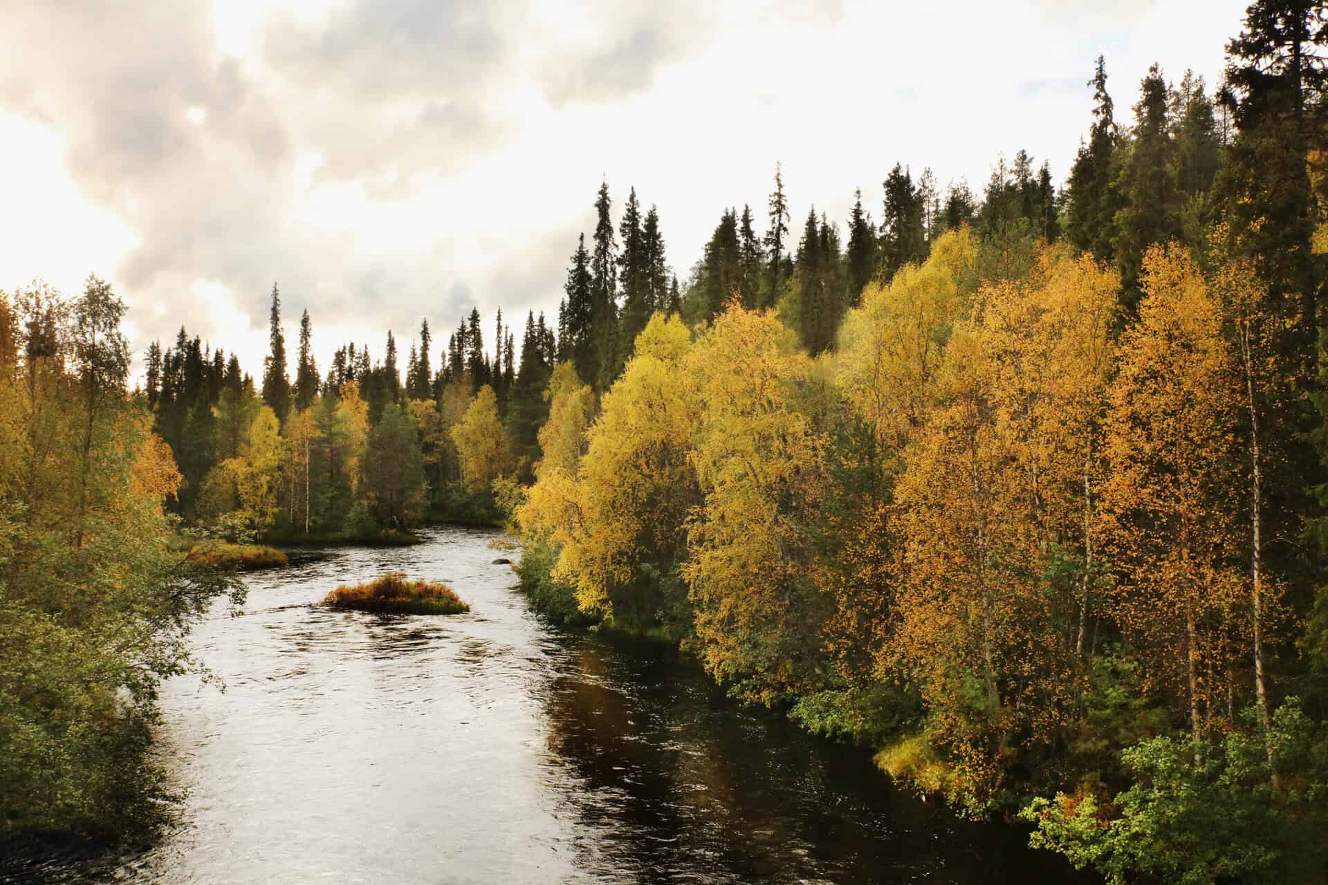 Luolakallio. Kuva: Ari-Pekka Auvinen