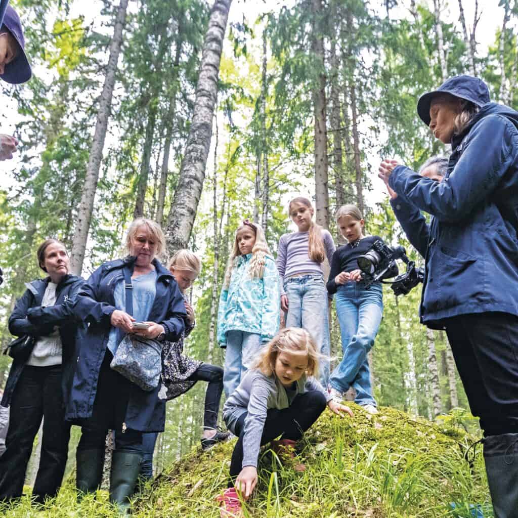 Käpypojan metsä. Kuva: Rami Marjamäki