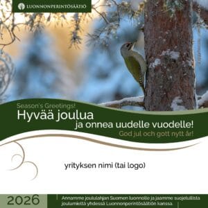 Yrityksen joululahjoitus - Harmaapäätikka