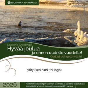 Yrityksen joululahjoitus - Koskikara