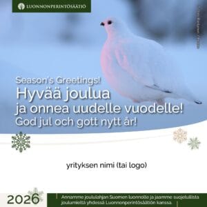 Yrityksen joululahjoitus - Riekko