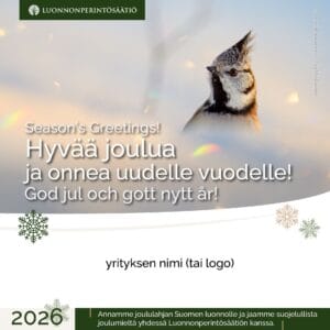 Yrityksen joululahjoitus - Töyhtötiainen